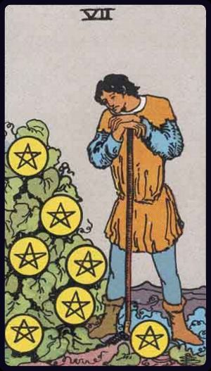 Seven of Pentacles - Rider Waite
