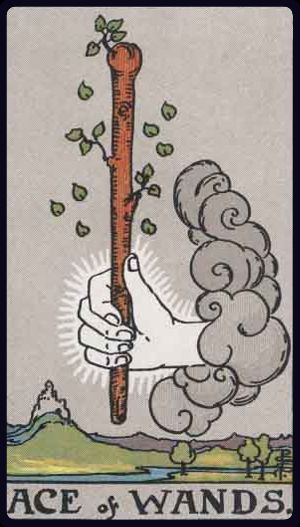 Ace of Wands - Rider Waite